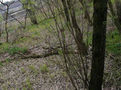 -西湖风景区-江洋畈生态公园