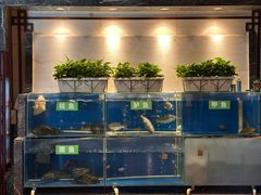 -惠丰堂饭庄·烤鸭·京味菜(西北旺唐家岭店)