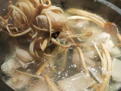 -探窝·竹笙椰子鸡(杨箕店)