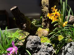 -曲廊院(东四十一条店)