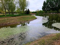 -东郊湿地公园