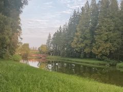 -黄海国家森林公园