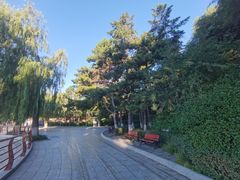 -长春市南湖公园