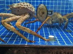 -徽三说·土徽菜·中国徽菜连锁品牌(一中店)