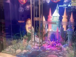 -同远QQBABY亲子摄影(北京路店)