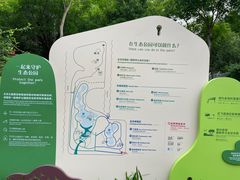 -福田红树林生态公园