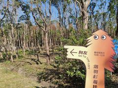 -上海海湾国家森林公园