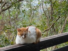-缥缈峰景区