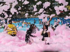 -美的鹭湖探索王国