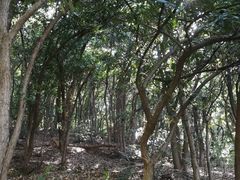 -杭州半山国家森林公园