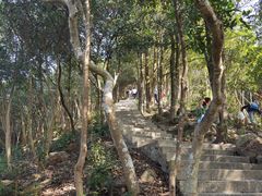 -梧桐山风景名胜区