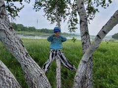 -塞罕坝国家级自然保护区