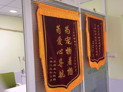 -艾吉宠物医院·疑难杂症转诊中心·猫友好(碧江路院)