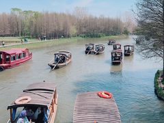 -溱湖国家湿地公园