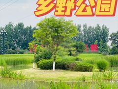 -夏河溪乡野公园