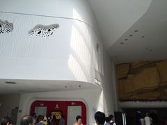 -深圳东部华侨城瀑布酒店