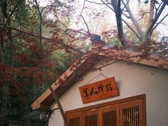 -天目湖山水园