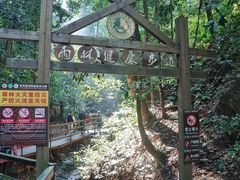 -西双版纳原始森林公园