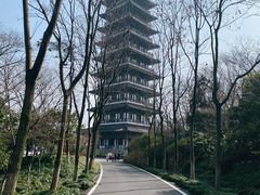 -宜兴龙背山森林公园