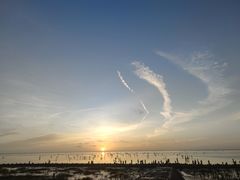 -南汇新城海滩