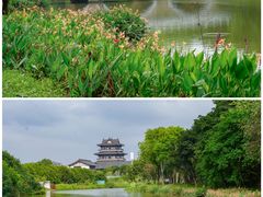 -海珠湖公园
