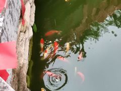 -湘子庙