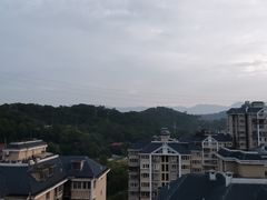 -金鸡山公园