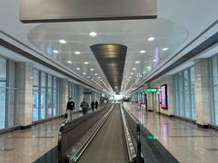 -开罗国际机场