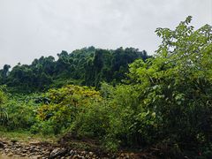 -靖西鹅泉风景区
