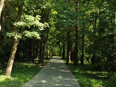 -溱湖国家湿地公园