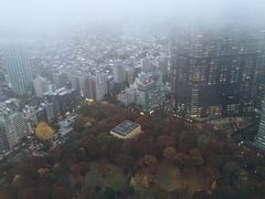 -东京都厅舍