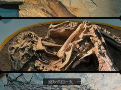 -房山世界地质公园博物馆