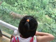 -新疆天山野生动物园