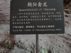 -辽宁古生物博物馆
