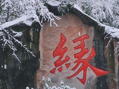 -杭州黄龙洞