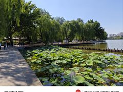 -山东政协大厦维景大酒店