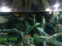 -福州罗源湾海洋世界旅游区