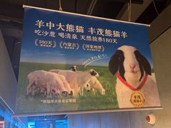 -丰茂烤串(公园店)