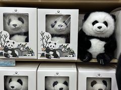 -成都大熊猫繁育研究基地