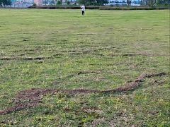 -洋湖国家湿地公园