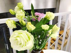 -隹木咖啡馆(宝龙广场店)