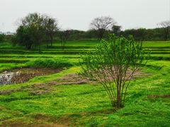 -盘龙城国家考古遗址公园