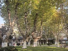 -南京中国近代史遗址博物馆(南京总统府)