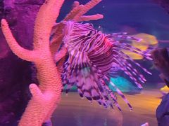 -沈阳海洋探索中心