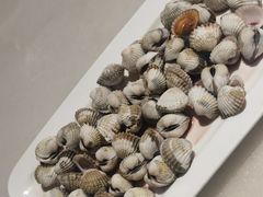 -华盛丰温州大排档(东三环南路店)