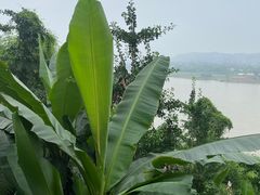 -乐山大佛风景名胜区乌尤寺南门-售票点