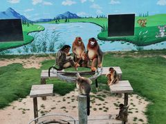 -西霞口神雕山野生动物世界