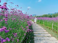 -深圳湾公园(南山区)