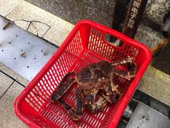 -蚝专家(北滘店)