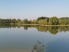 -东郊湿地公园